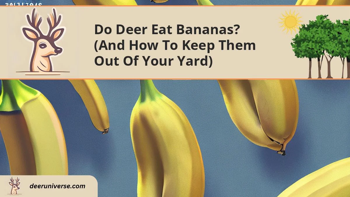 do deer eat bananas