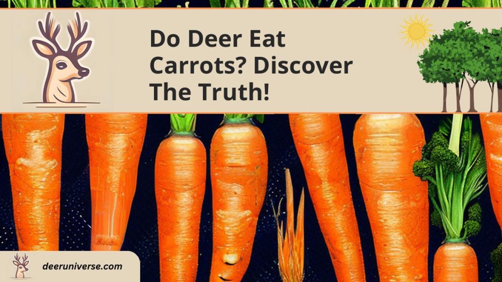 Do Deer Eat Carrots? Discover the Truth! - Deer Universe