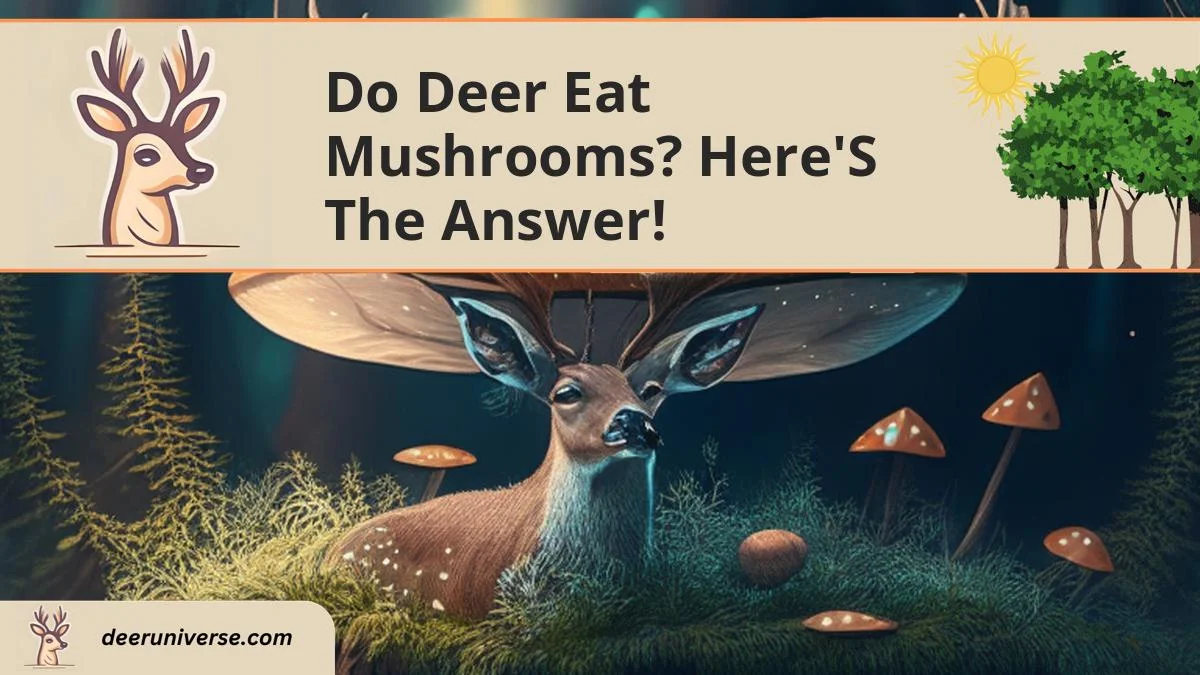 do deer eat mushrooms