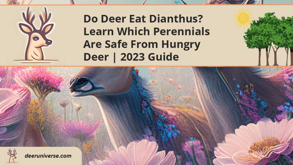 Do Deer Eat Dianthus? Learn Which Perennials are Safe from Hungry Deer