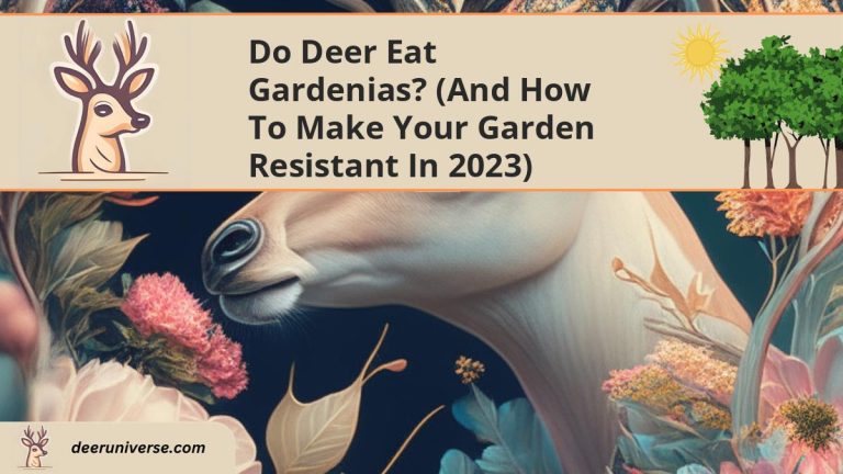 Do Deer Eat Gardenias? (and How to Make Your Garden Resistant in 2023 ...