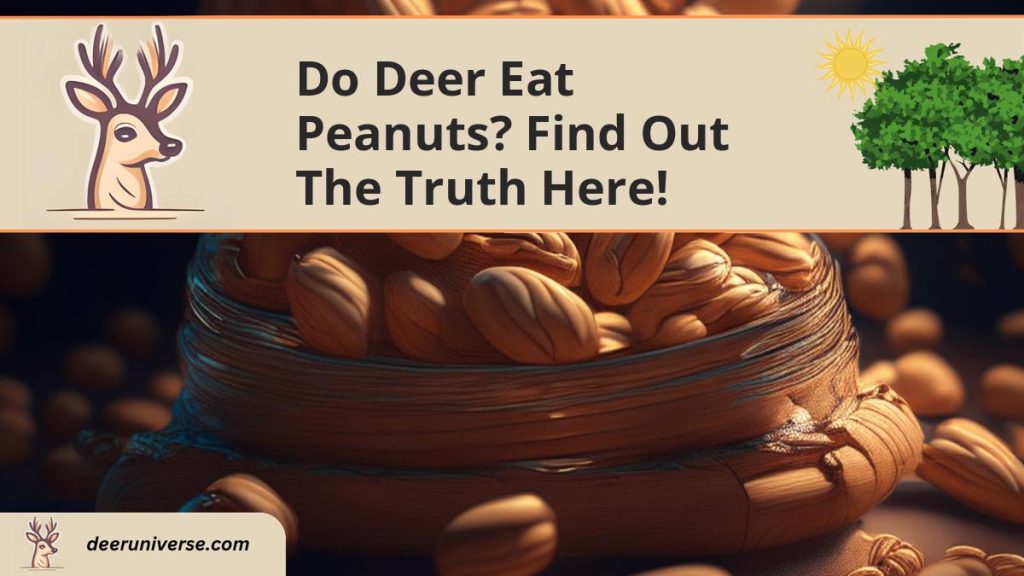 Do Deer Eat Peanuts? Find Out The TRUTH Here! Deer Universe