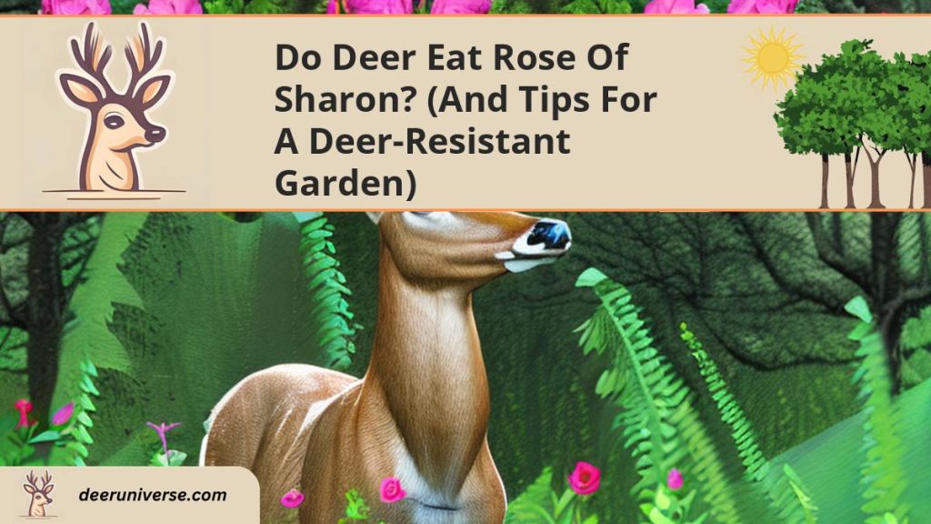 Do Deer Eat Rose of Sharon? (and Tips For A DeerResistant Garden