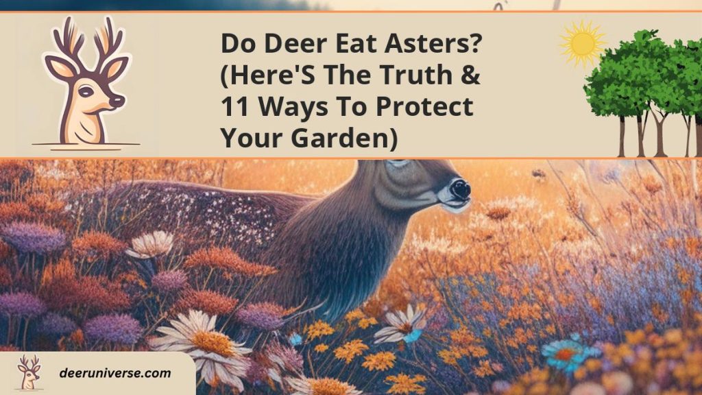 Do Deer Eat Asters? (Here's The TRUTH & 11 Ways To Protect Your Garden