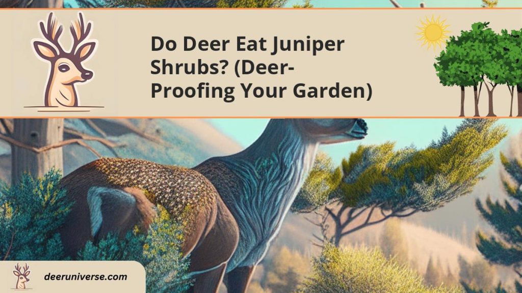 Do Deer Eat Juniper Shrubs? (DeerProofing Your Garden) Deer Universe