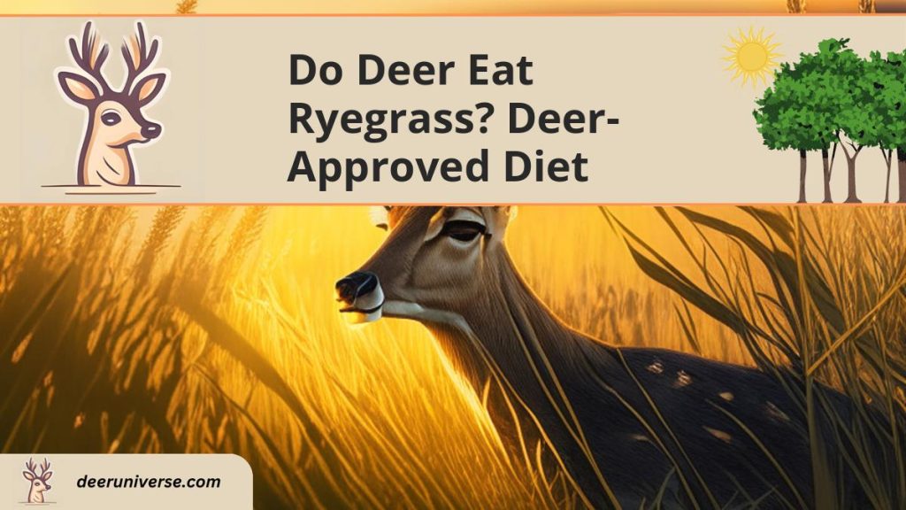 Do Deer Eat Ryegrass? DeerApproved Diet Deer Universe