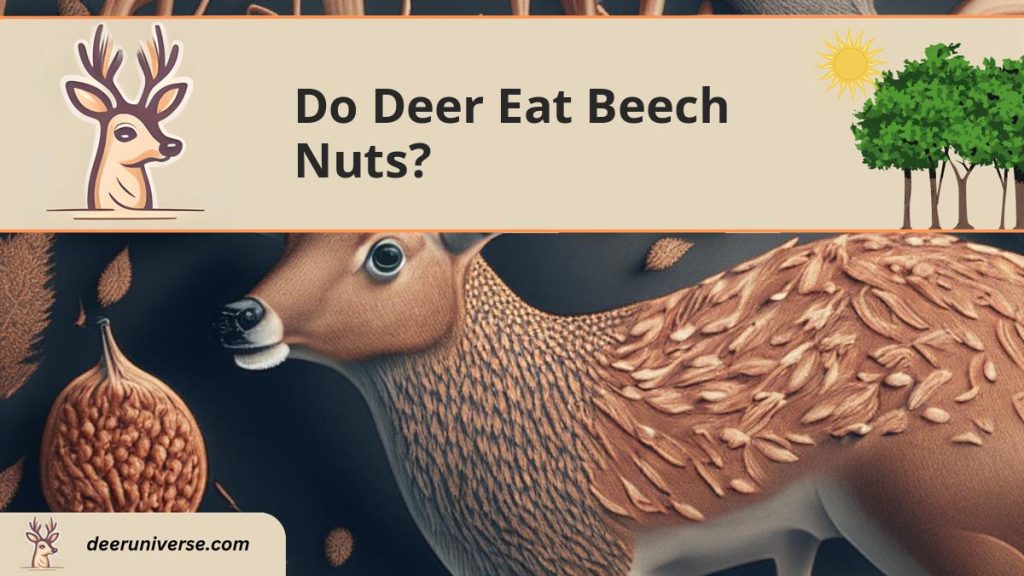 Do Deer Eat Beech Nuts? The Ultimate Hunter's Guide 2023 Deer Universe